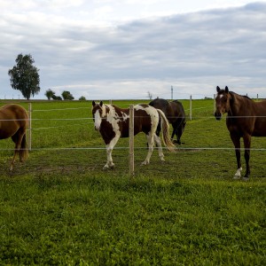 IMG_5764_01