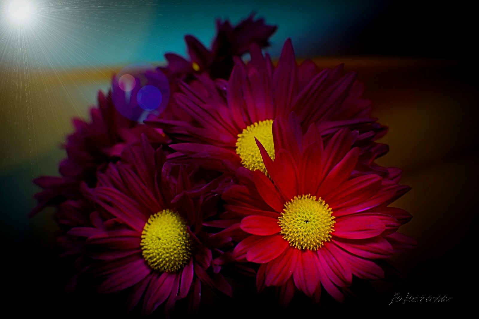 IMG_20231117_170956_247