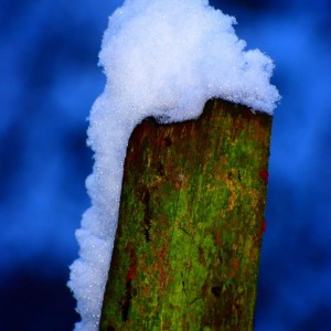 inbound4062779938234890718