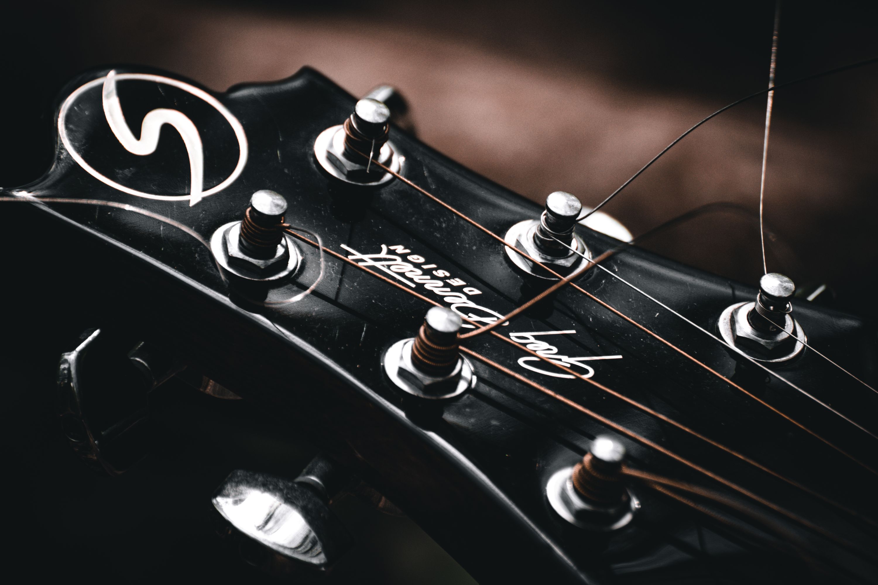 Guitar