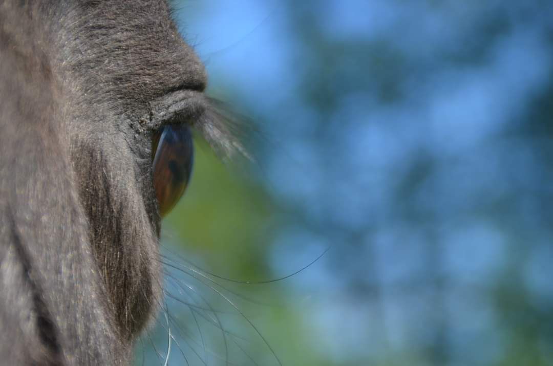 inbound5376728048826921239