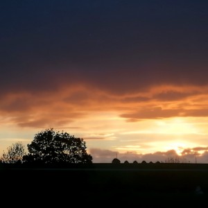 inbound5309777720123067300