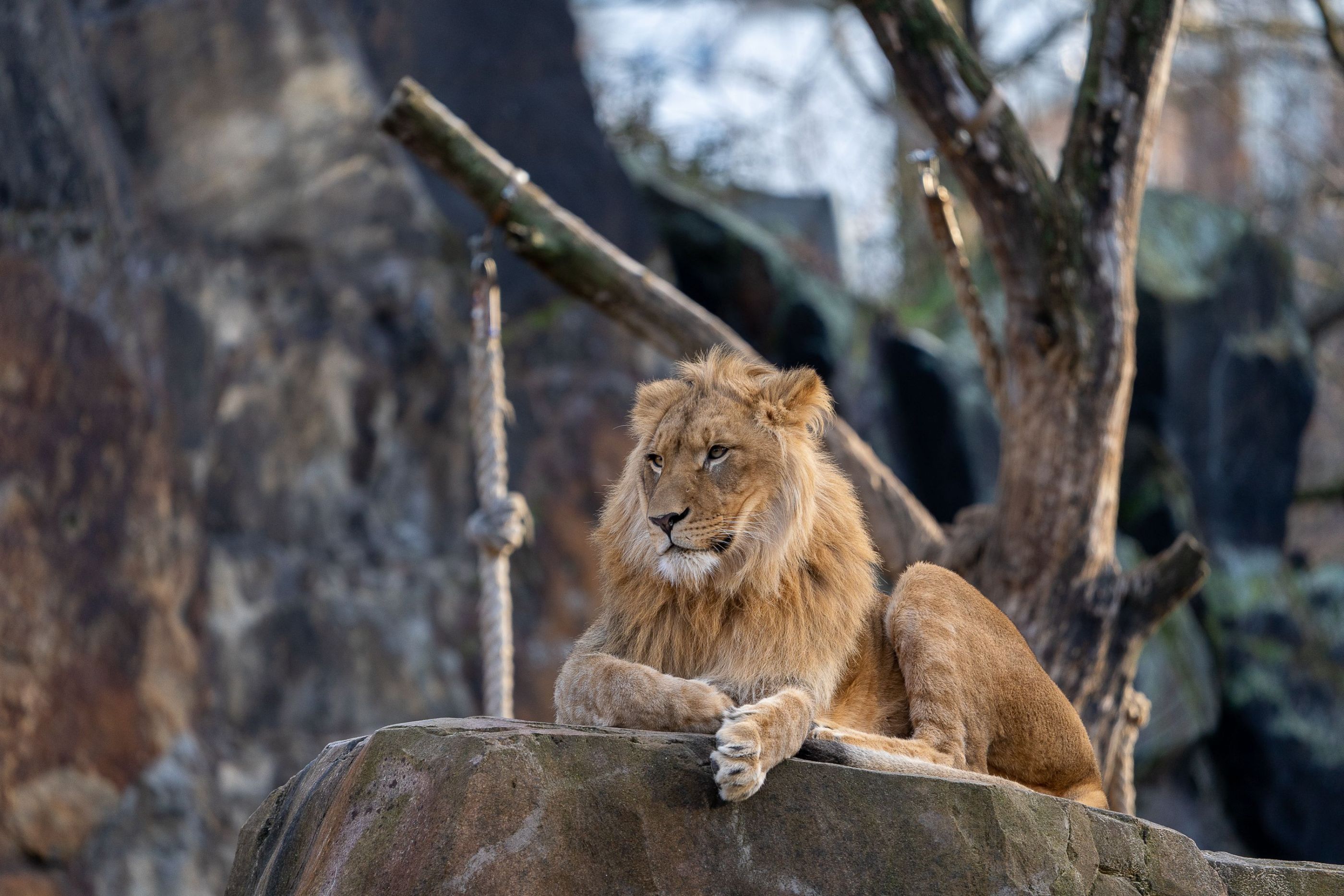 Zoo Berlin