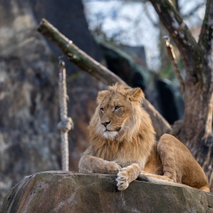 Zoo Berlin