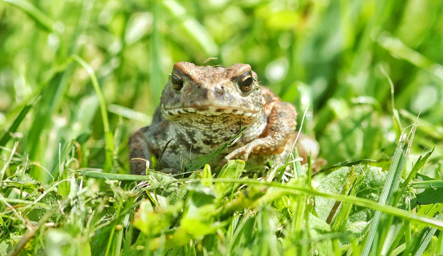 20210809141416_IMG_6165-01