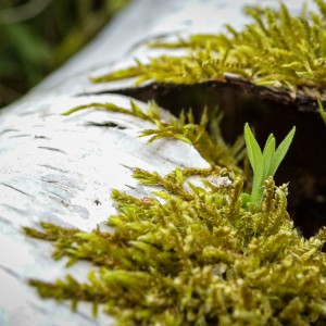 20210517122909_IMG_4759