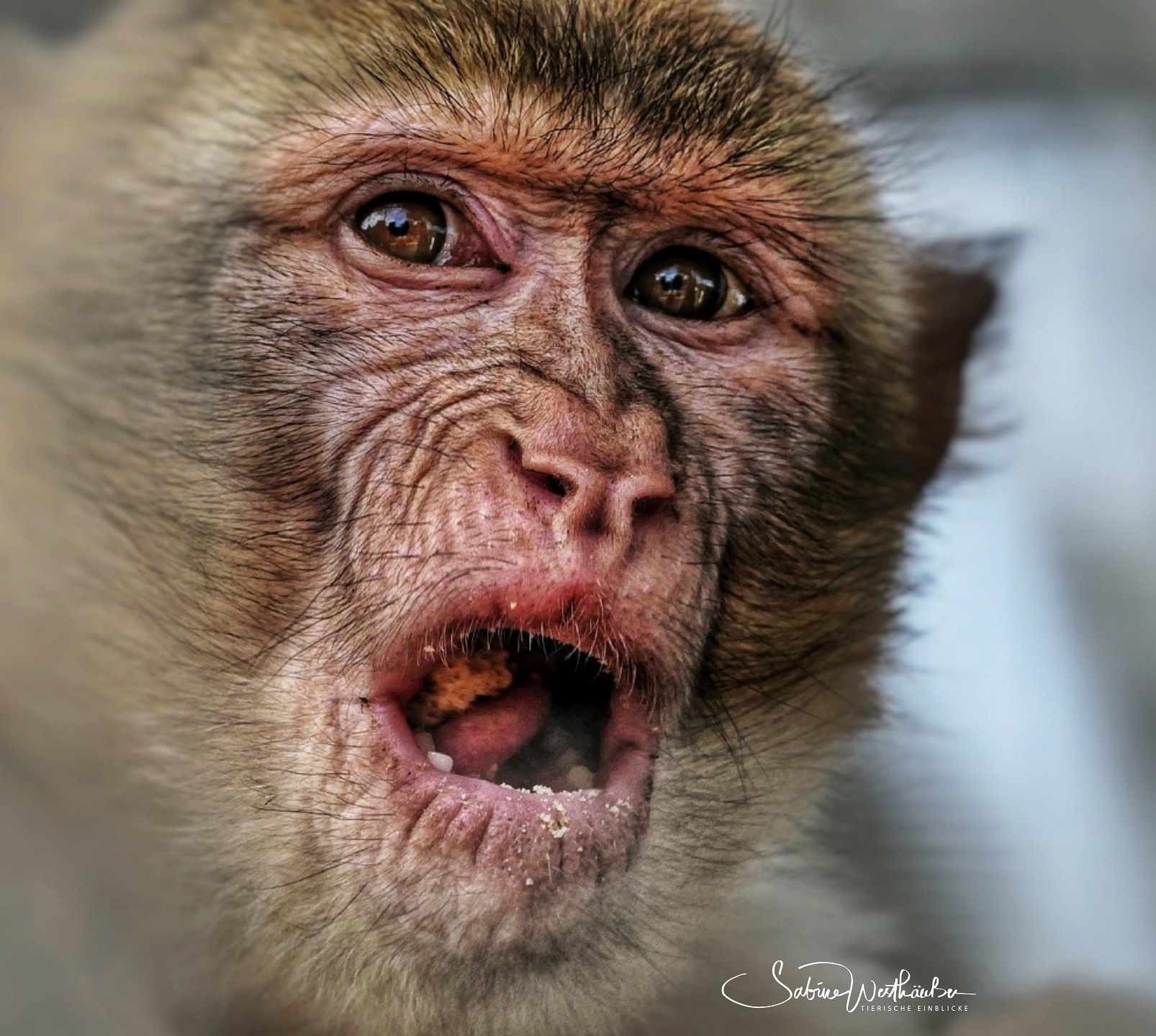 Mit vollem Mund spricht man nicht.