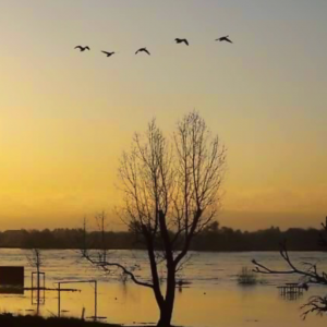 Neuwied am Rhein