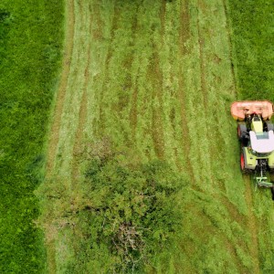 PL_202108081246130K8TGCK0120641DJI_0066