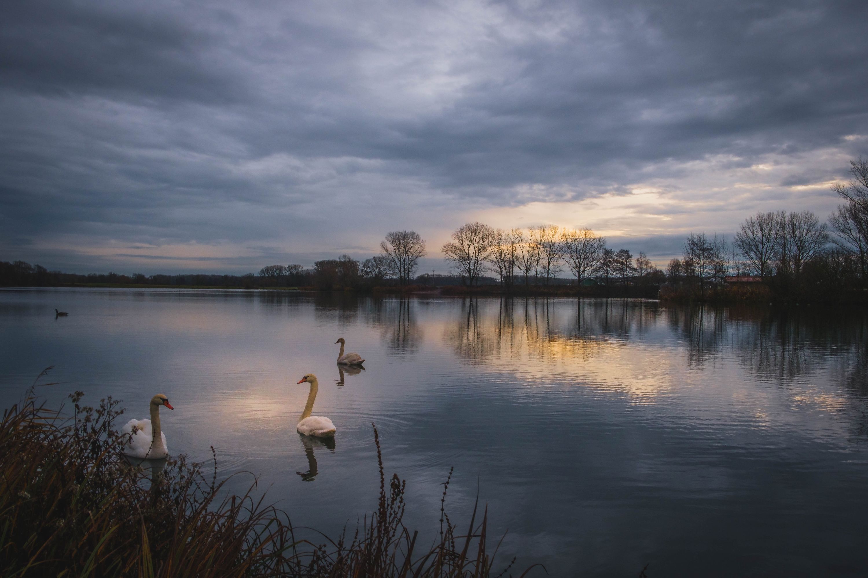 Sonnenaufgang am See