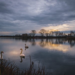 Sonnenaufgang am See