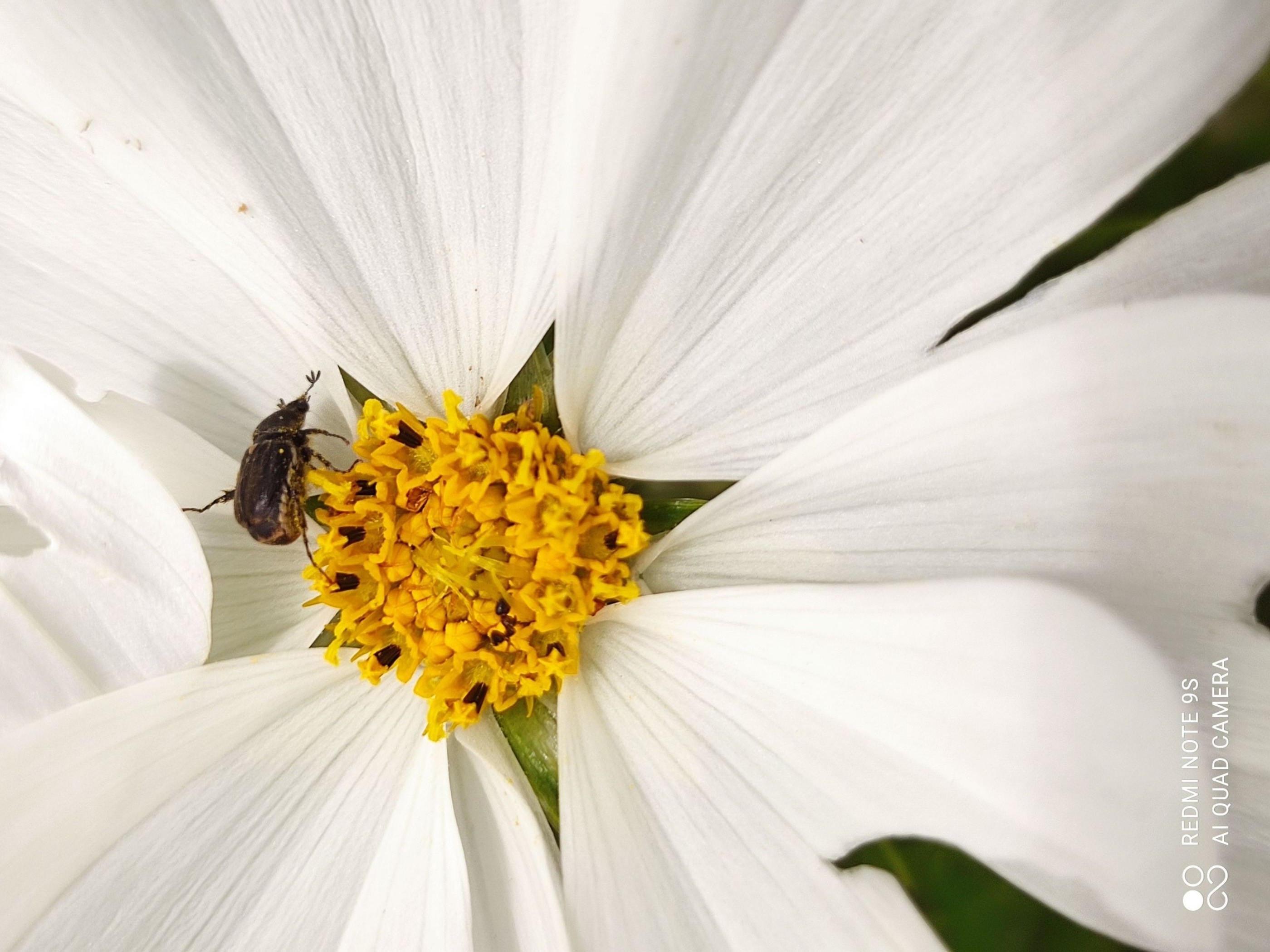 inbound3456678384959921678