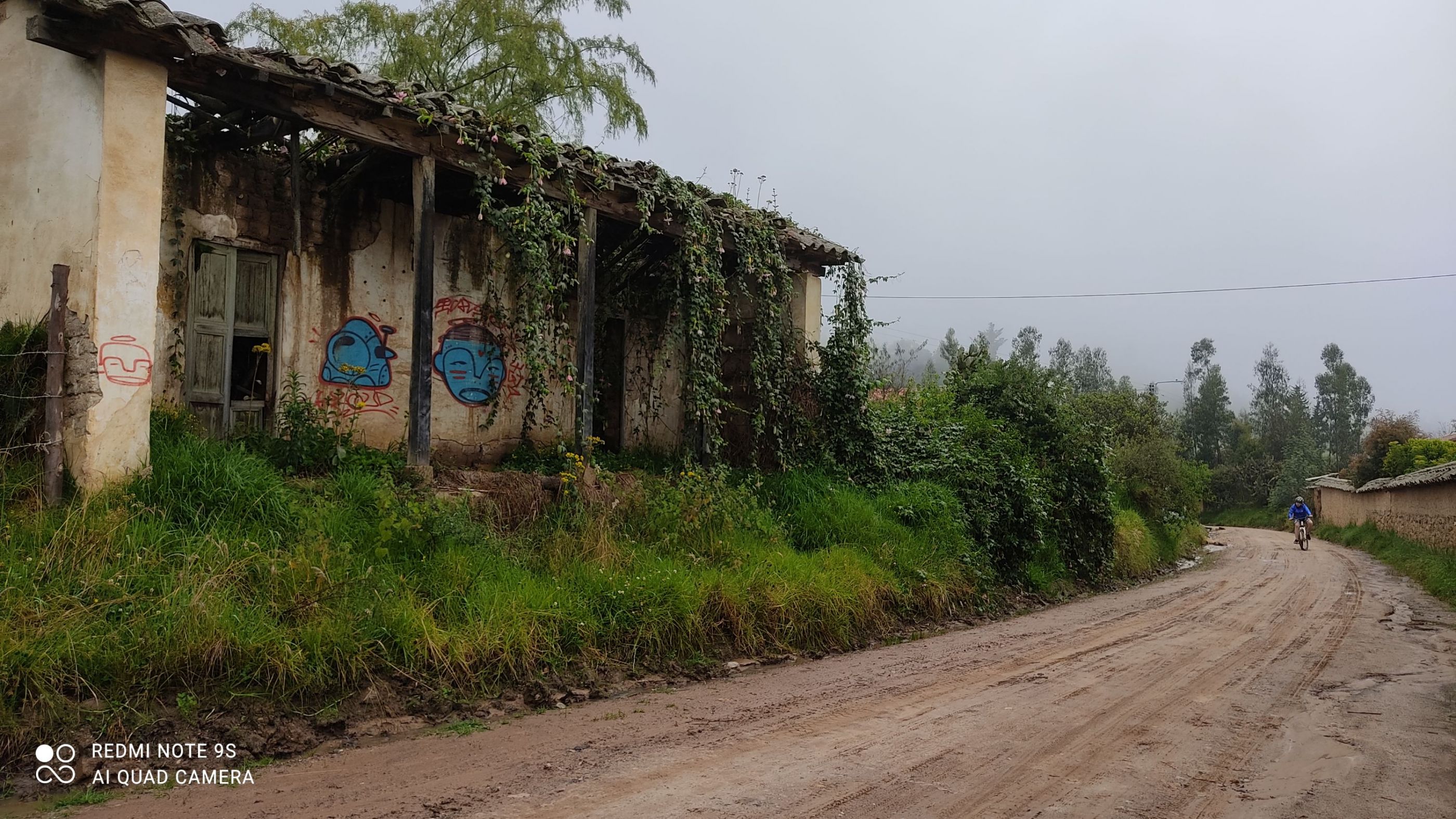 Adornando las ruinas