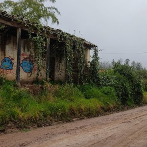 Adornando las ruinas