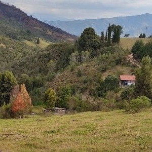 inbound2109176630530175875