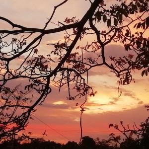 IMG_20220307_181115