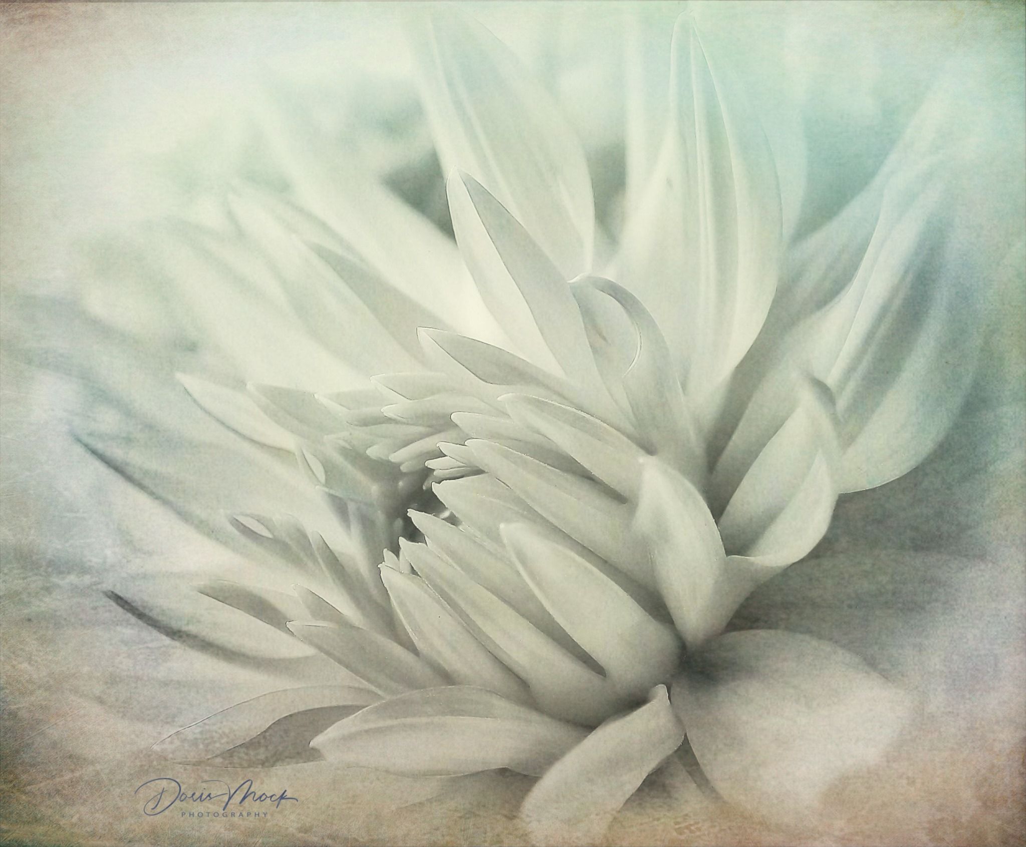 BlumenART