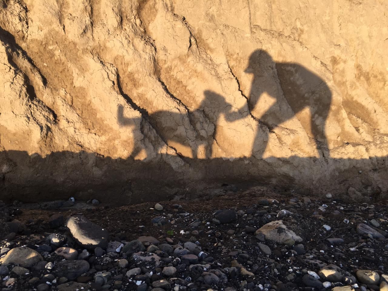 inbound4416758806890650286