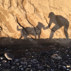 inbound4416758806890650286