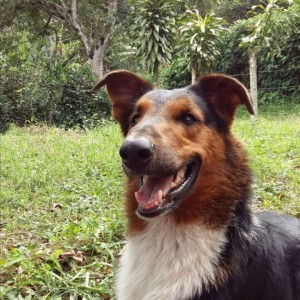 Sirius Eduardo feliz