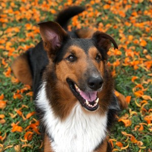 Sirius Eduardo Colombia