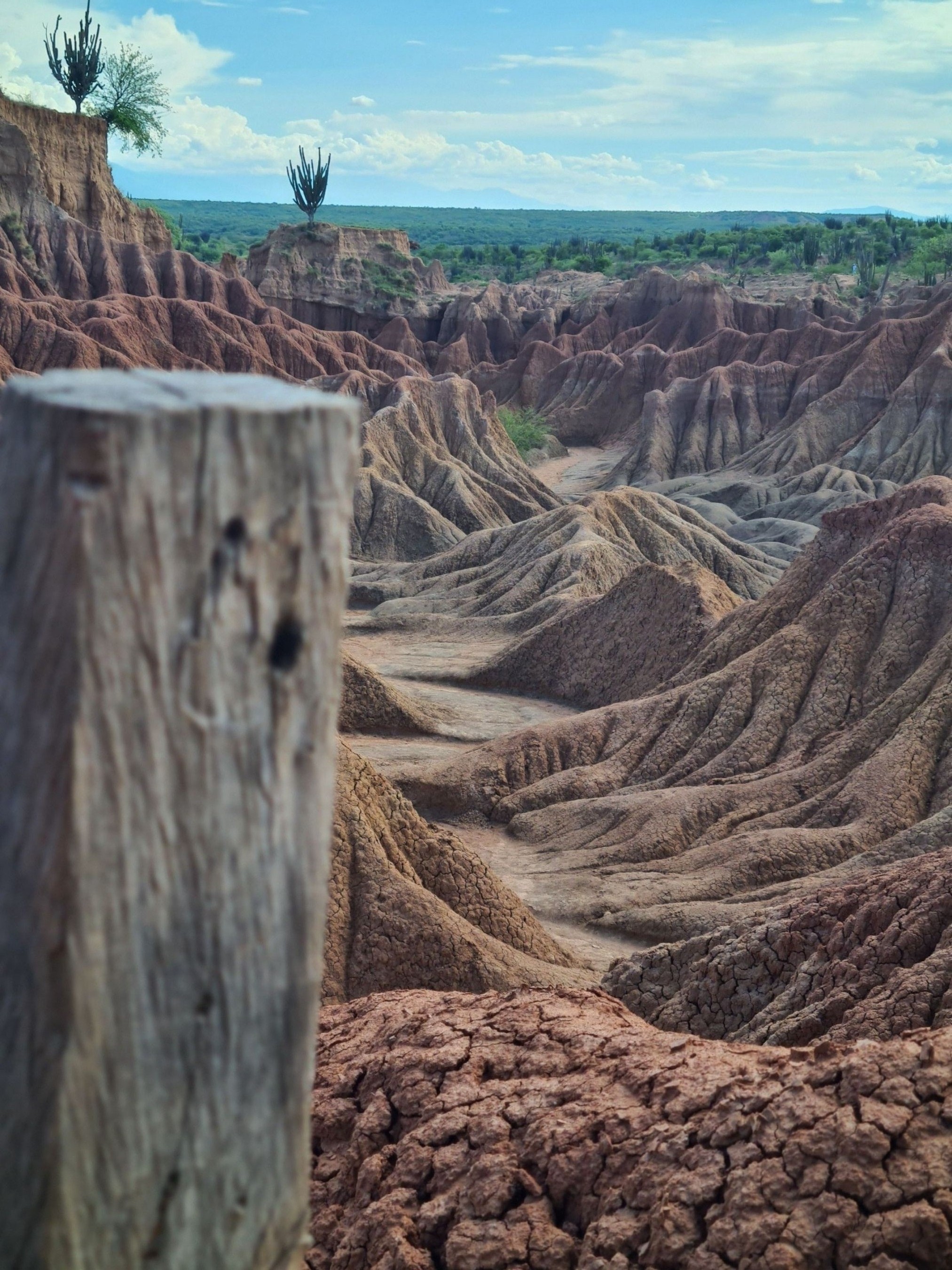 Desierto , tatacoa ,colombia