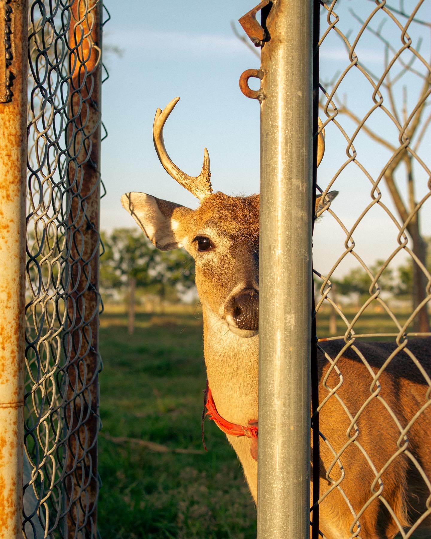 EBA88BB4-F595-40B7-A0BD-029C0A4B71E0