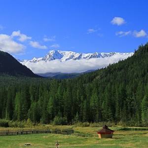 Altai