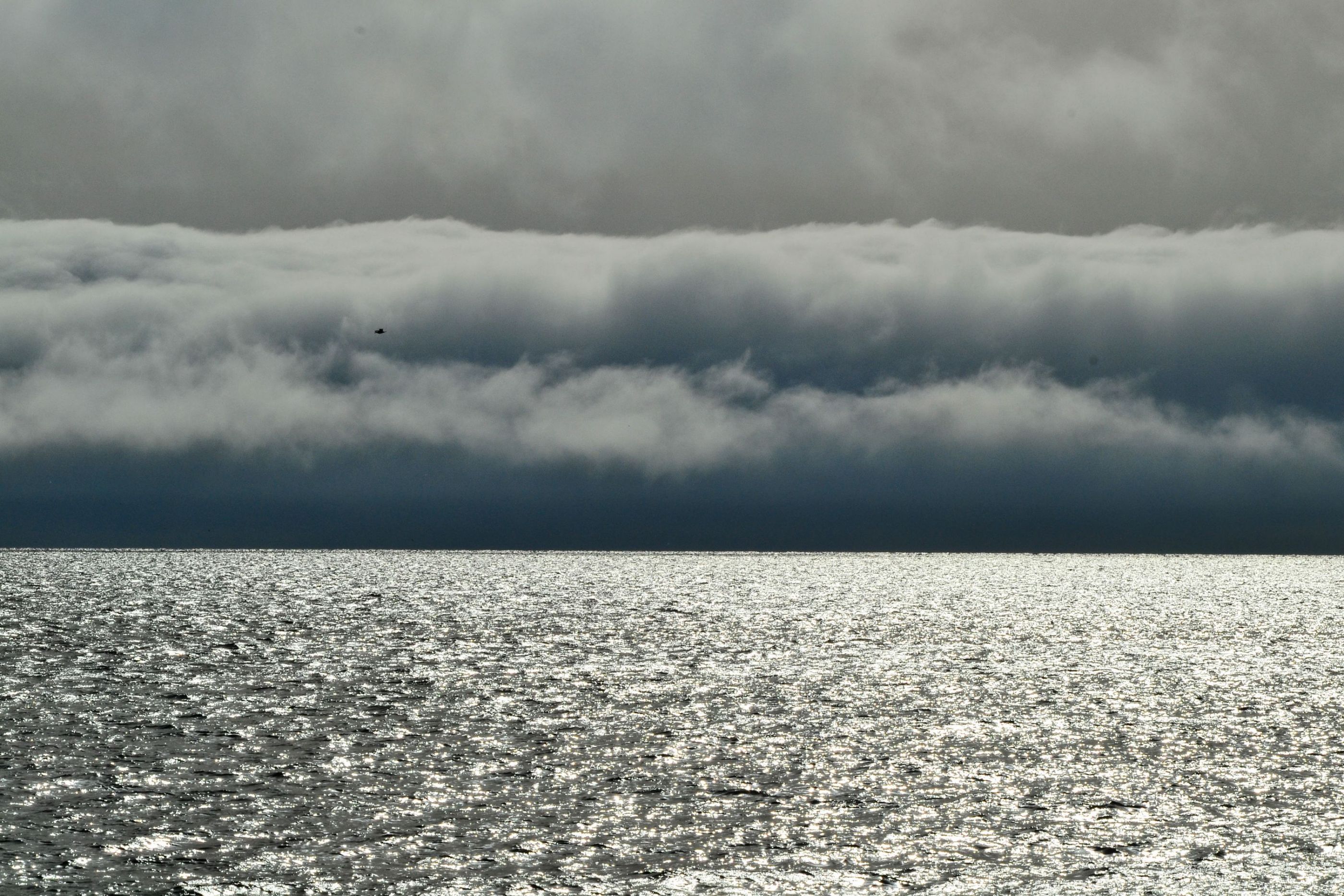 Амурский залив