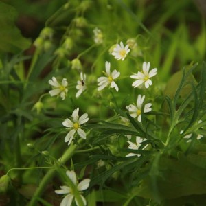 FB_IMG_1622543423104