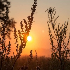 FB_IMG_1600529159648