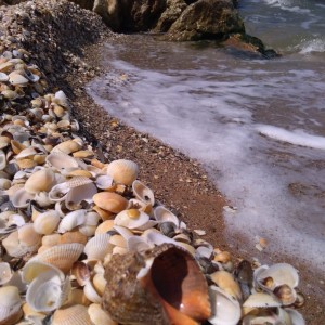 IMG-20210525-WA0001