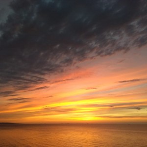 IMG-20210525-WA0006