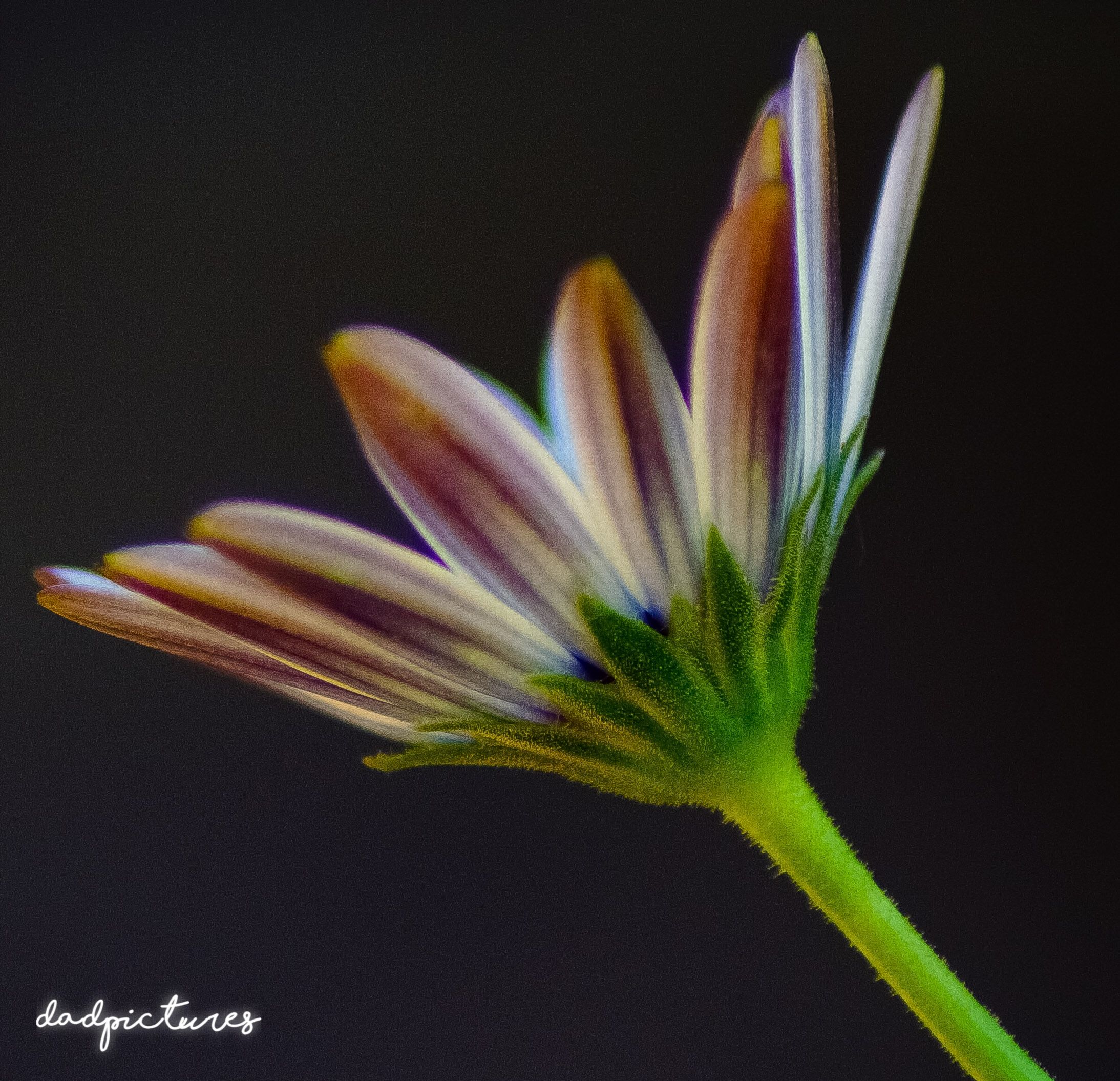 inbound1074672716380404280