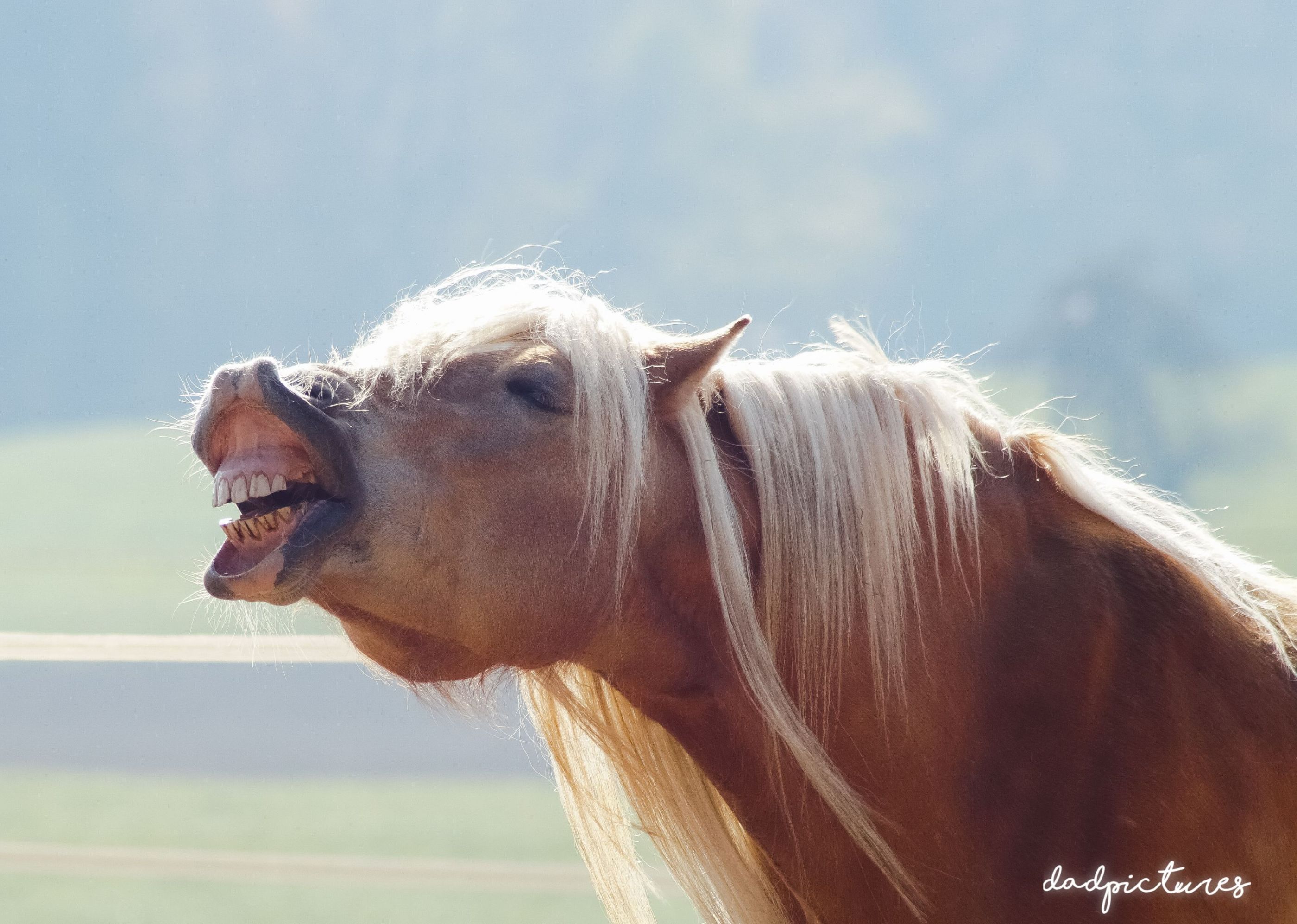 inbound1012323360725165437