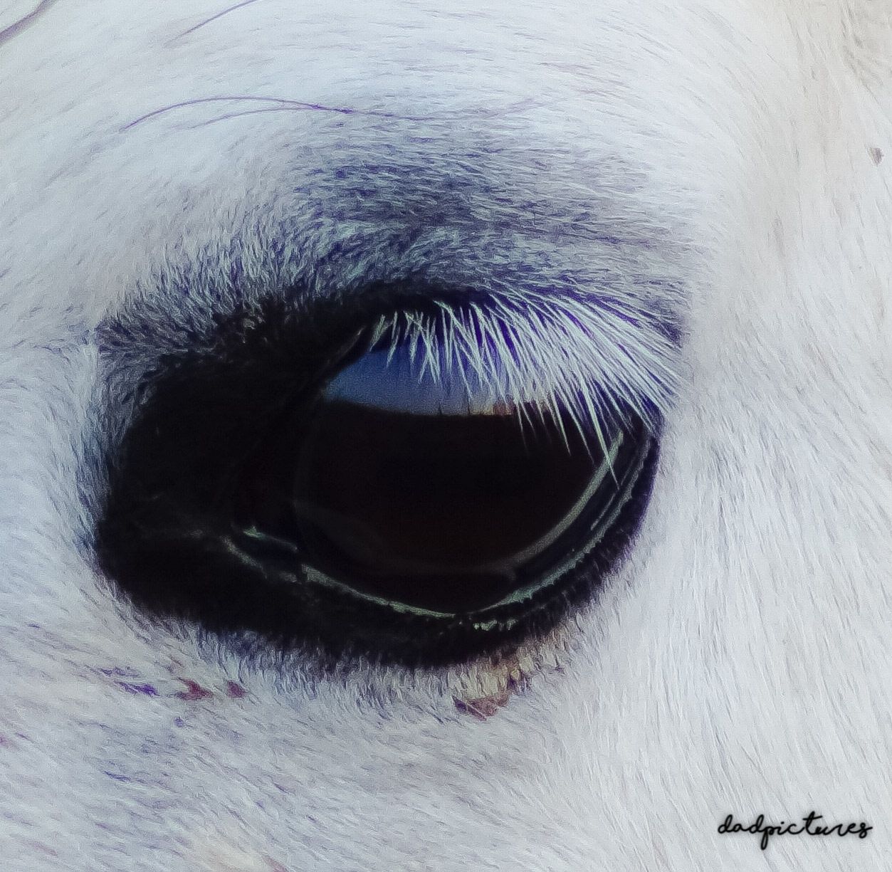 inbound2479778468586873724