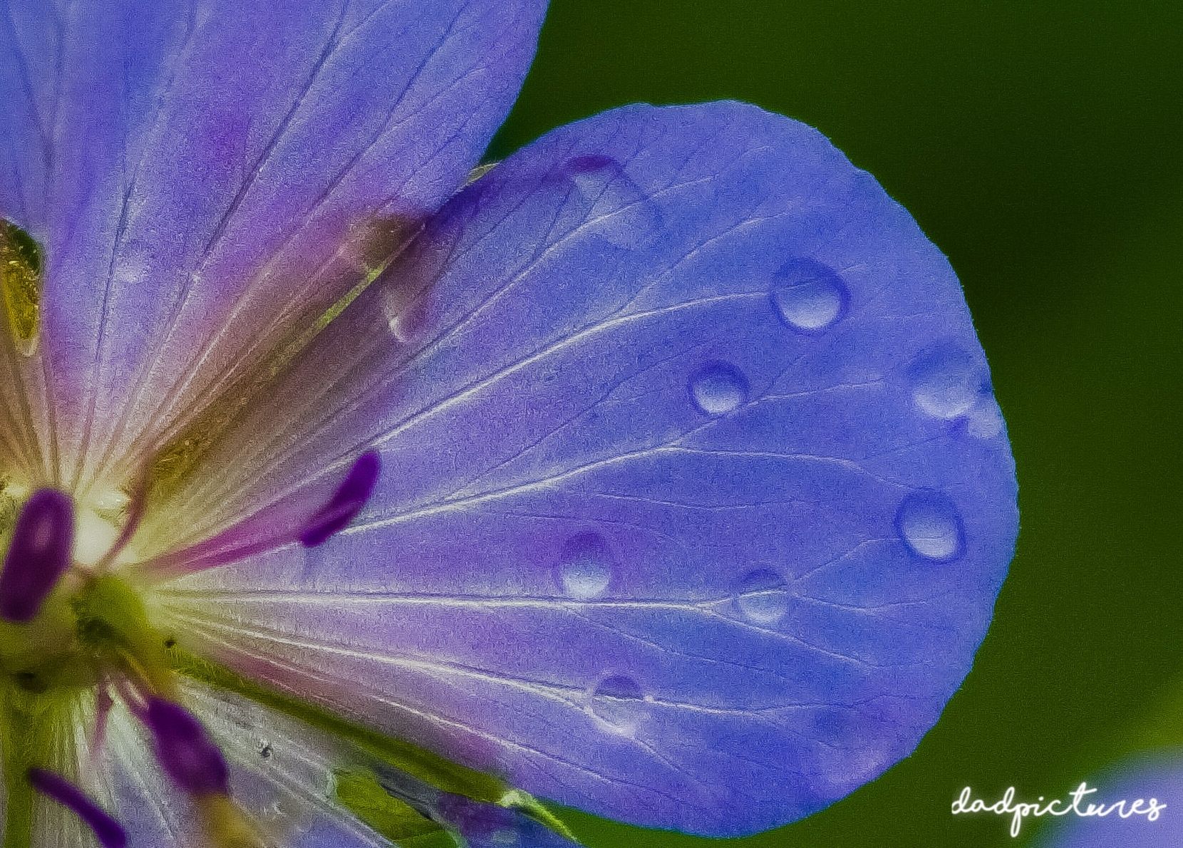 inbound6800669547174555814