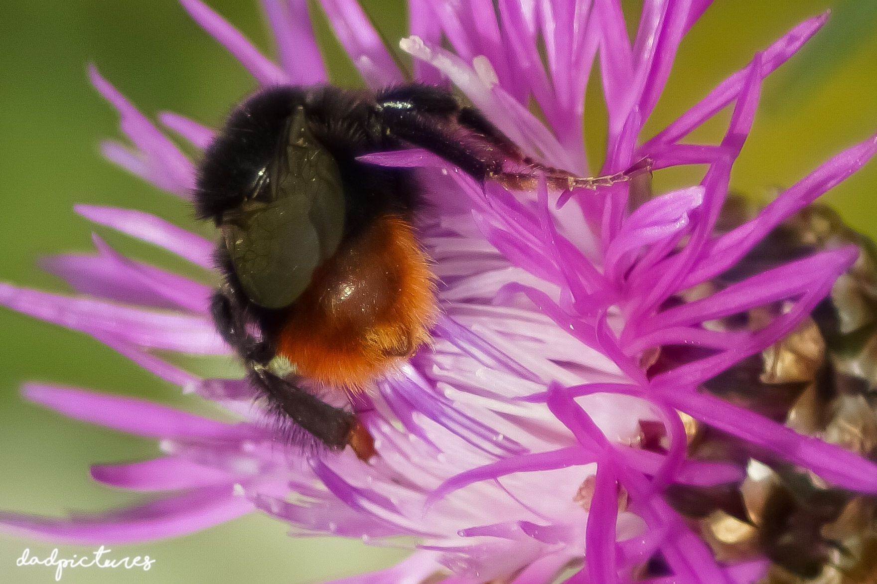 inbound7848283319178715277