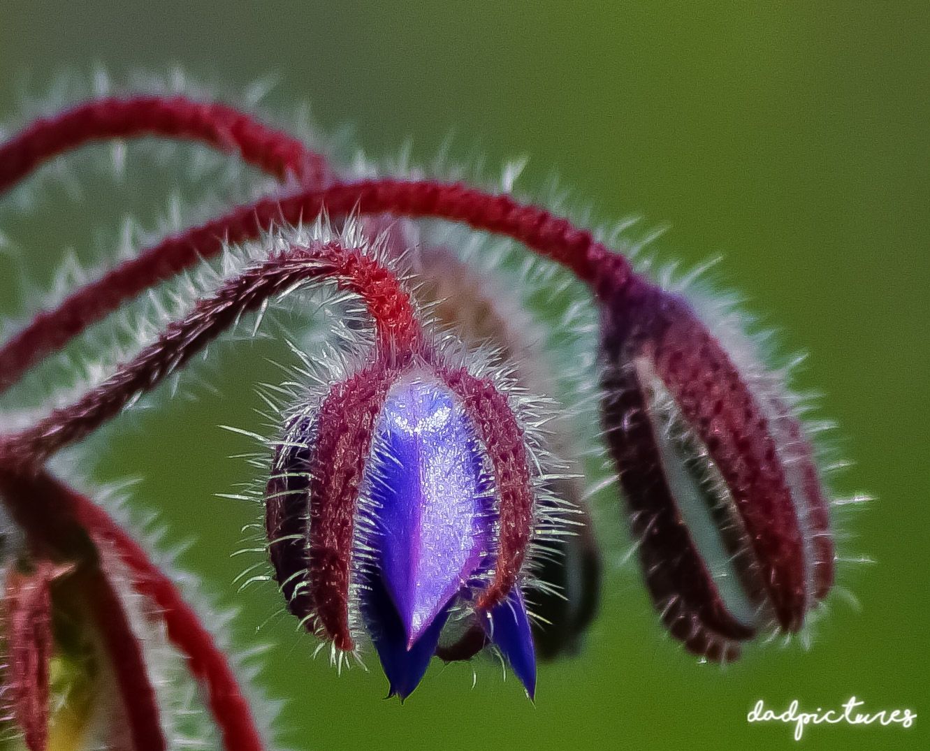 inbound7290928713844175203