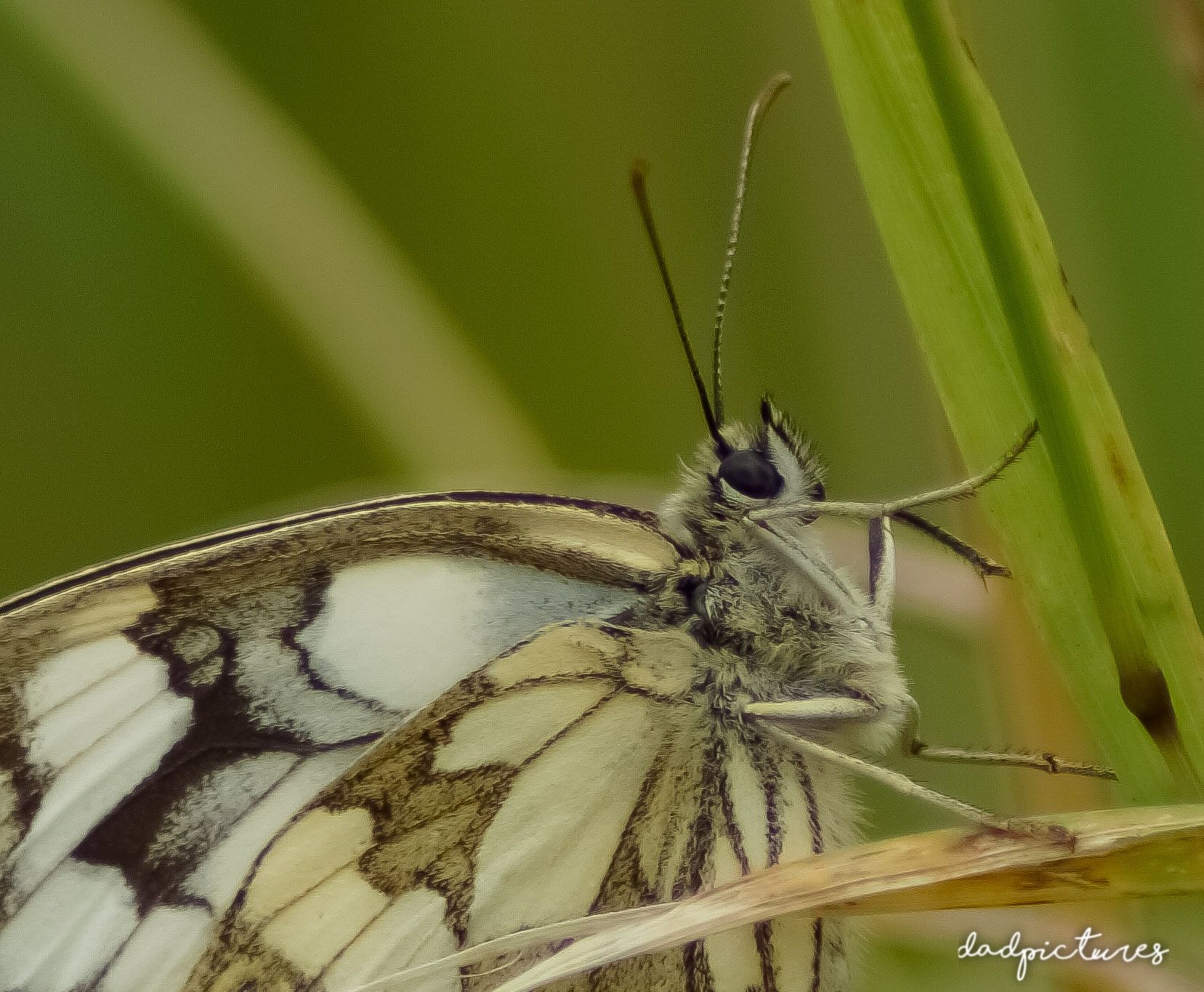 inbound8555376060733985141