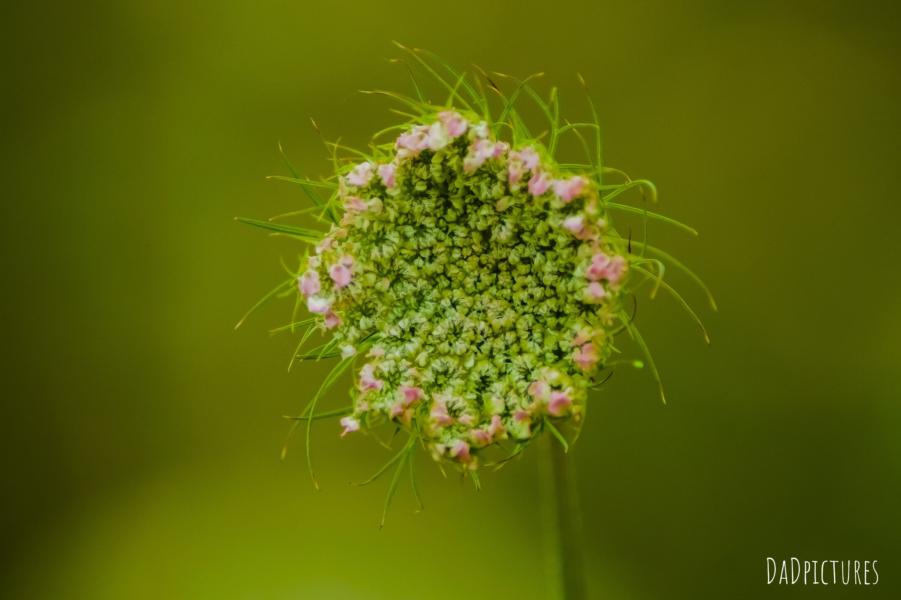 inbound4299139110498833450