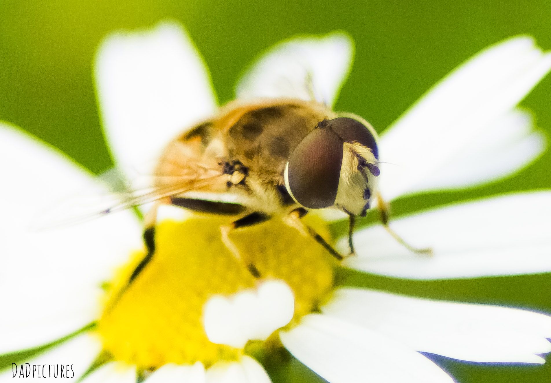 inbound3187151973416156844