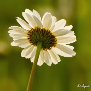 inbound6919941426143121992