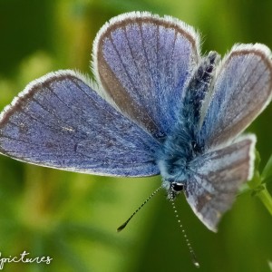 inbound902943837922877781