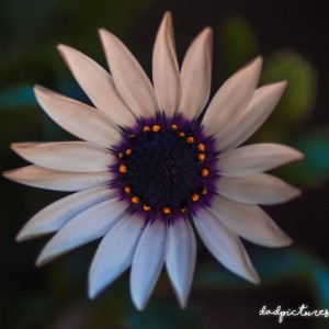 inbound9104678210990003139