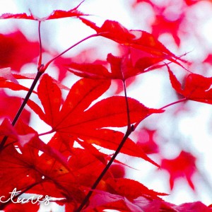 inbound2695169572107895043