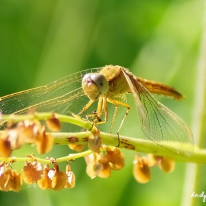 inbound3492940235820357031