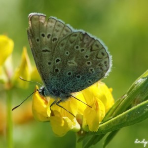 inbound4618642796219398983