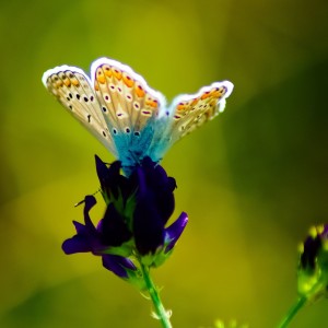 inbound2030132552651060260