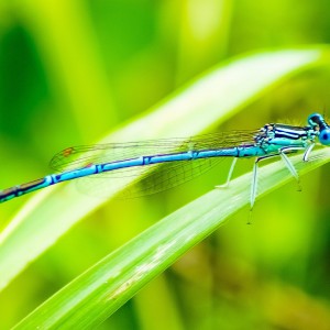 inbound7475557136259243661